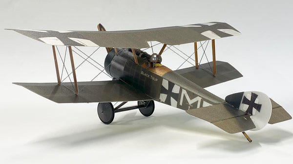Sopwith Pup 'Black Tulip' - German Markings