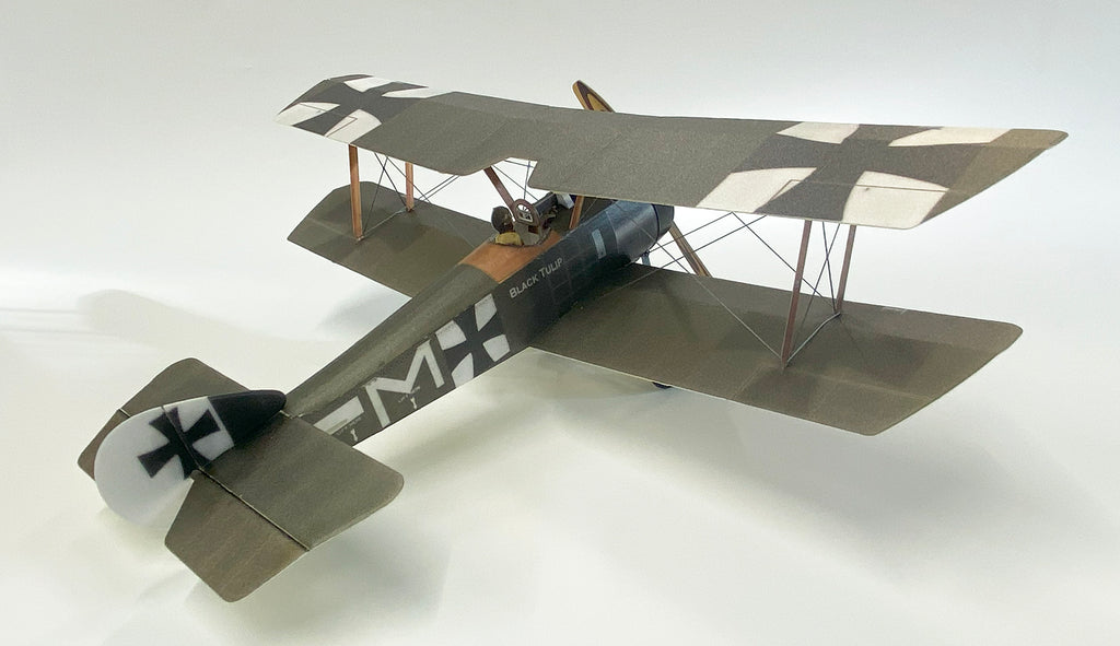 Sopwith Pup 'Black Tulip' - German Markings