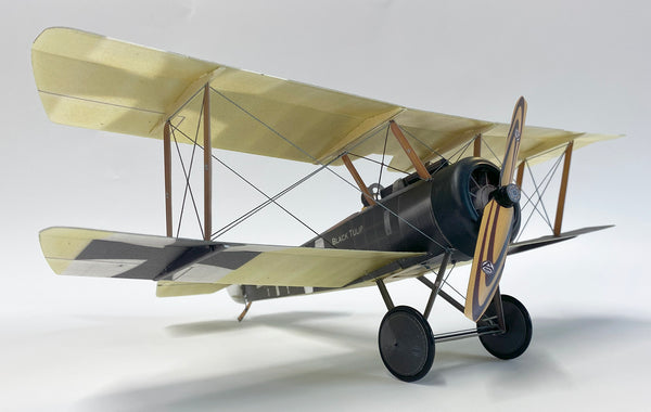 Sopwith Pup 'Black Tulip' - German Markings