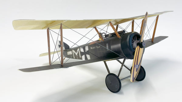 Sopwith Pup 'Black Tulip' - German Markings