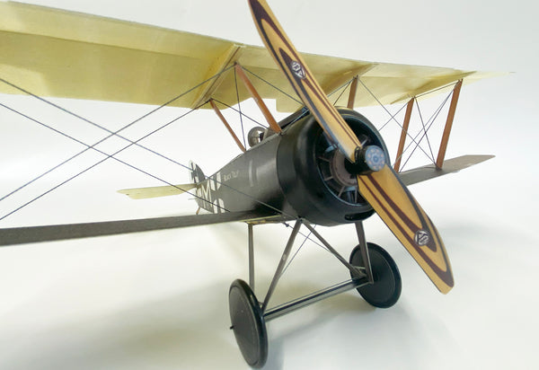 Sopwith Pup 'Black Tulip' - German Markings